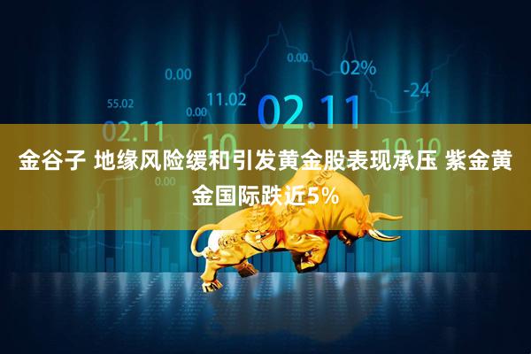 金谷子 地缘风险缓和引发黄金股表现承压 紫金黄金国际跌近5%