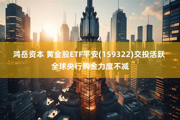 鸿岳资本 黄金股ETF平安(159322)交投活跃 全球央行购金力度不减
